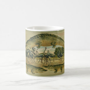 Café Caneca 1905 da beira do jacaré de Florida