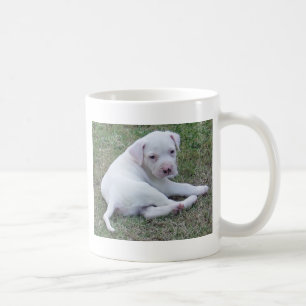 Café Caneca americana do filhote de cachorro do