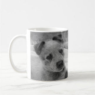 CAFÉ CANECA AZUL DE HEELER