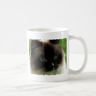 Café Caneca bonita do gato de Ragdoll