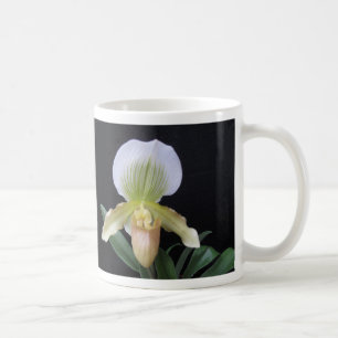 Café Caneca branca da orquídea de deslizador