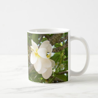 Café Caneca branca de Cofee do Plumeria