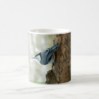 Café Caneca branca do pica-pau-cinzento de Breasted