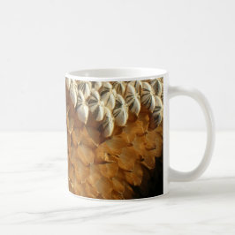 Café Caneca - Cascas de sementes de girassol