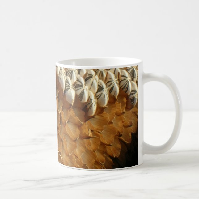 Café Caneca - Cascas de sementes de girassol (Direita)