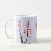 Caneca com as flores de Cape Town