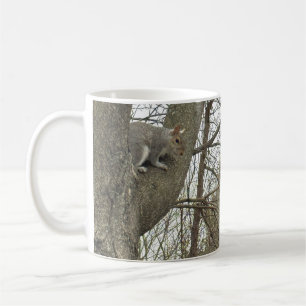 Café Caneca com Foto de Esquilo