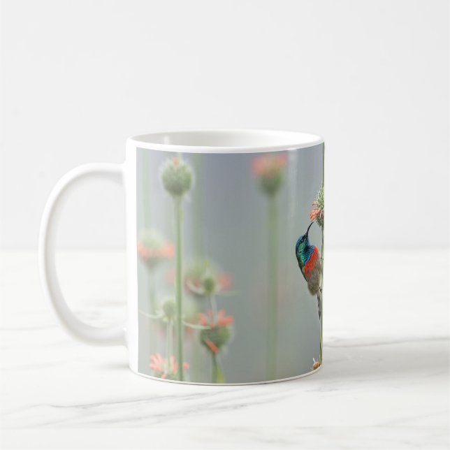 Café Caneca com uma fotografia de um sunbird (Esquerda)