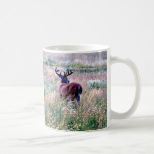 Café Caneca com Veado de Cauda Branca em Campo de Verão