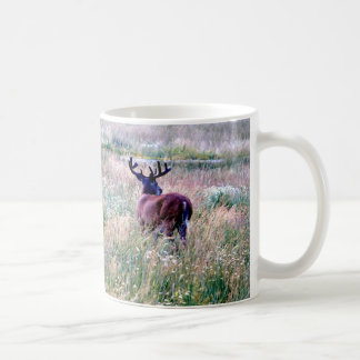 Café Caneca com Veado de Cauda Branca em Campo de Verão