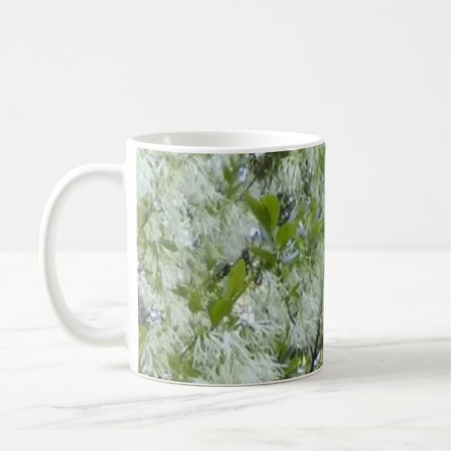Café Caneca da árvore do Graybeard de Grandaddy (Esquerda)