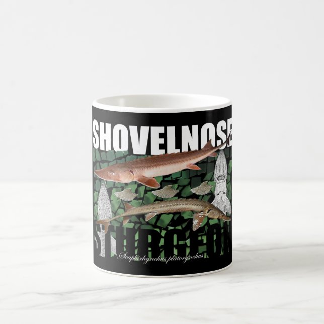 Café Caneca da colagem do esturjão de Shovelnose (Centro)