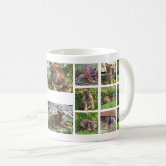 Café Caneca da foto da colagem do animal de estimação