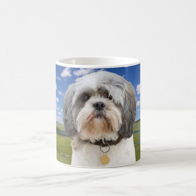 Café Caneca da foto de Shih Tzu (Centro)