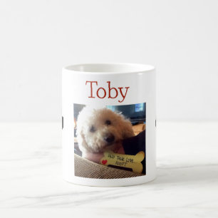 Café Caneca da foto de Toby