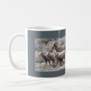 Café Caneca da foto dos carneiros de Bighorn do deserto