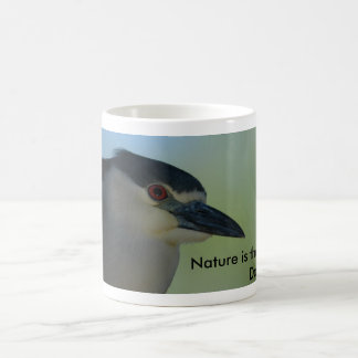 Café Caneca da garça-real de noite