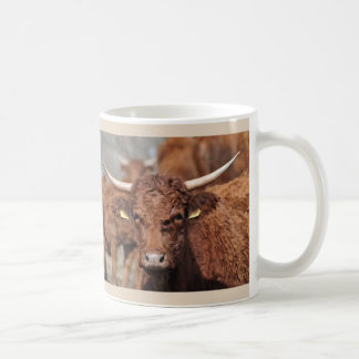 Café Caneca da vaca de Salers