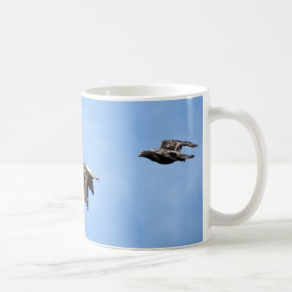 Café Caneca das posições de vôo do pombo