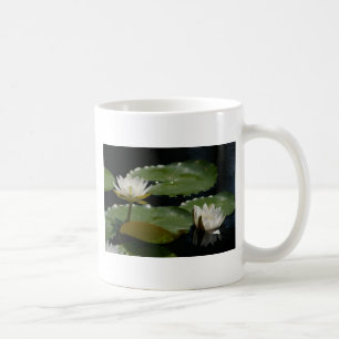 Café Caneca de Água Branca