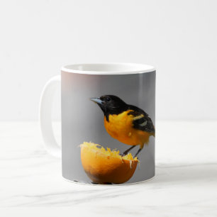 Café Caneca de Baltimore Oriole