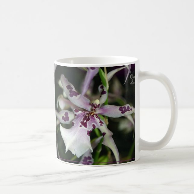 Café Caneca de Beallara da orquídea (Direita)