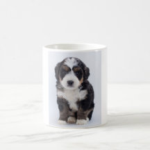 Caneca de Bernedoodle
