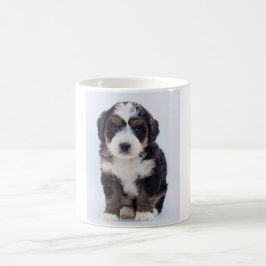 Café Caneca de Bernedoodle