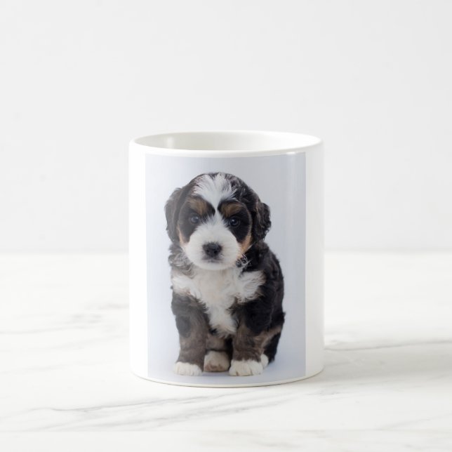 Café Caneca de Bernedoodle (Centro)