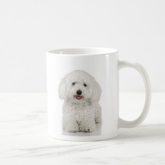 Café Caneca de Bichon Frise (Direita)