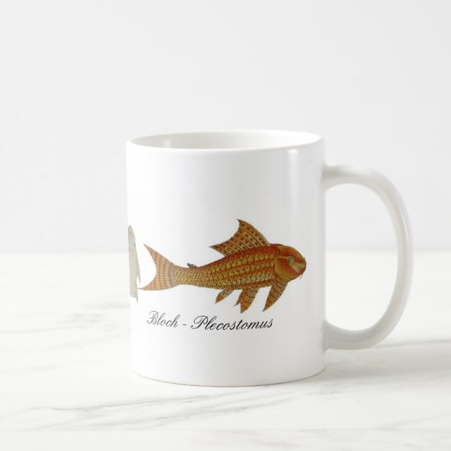 Café Caneca de Bloch - de Plecostomus (Direita)