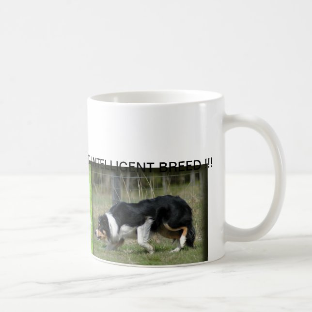 CAFÉ CANECA DE BORDER COLLIE (Direita)
