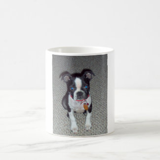 Café Caneca de Boston Terrier