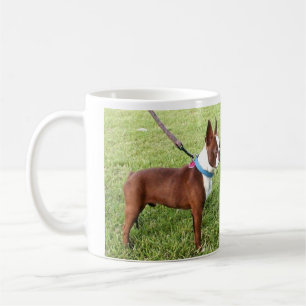 Café Caneca de Brown Boston Terrier