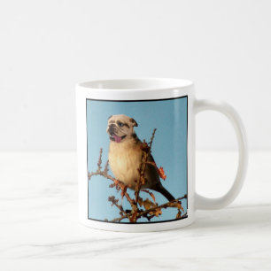 Café Caneca de Bullbird