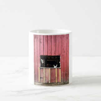 Café Caneca de burro