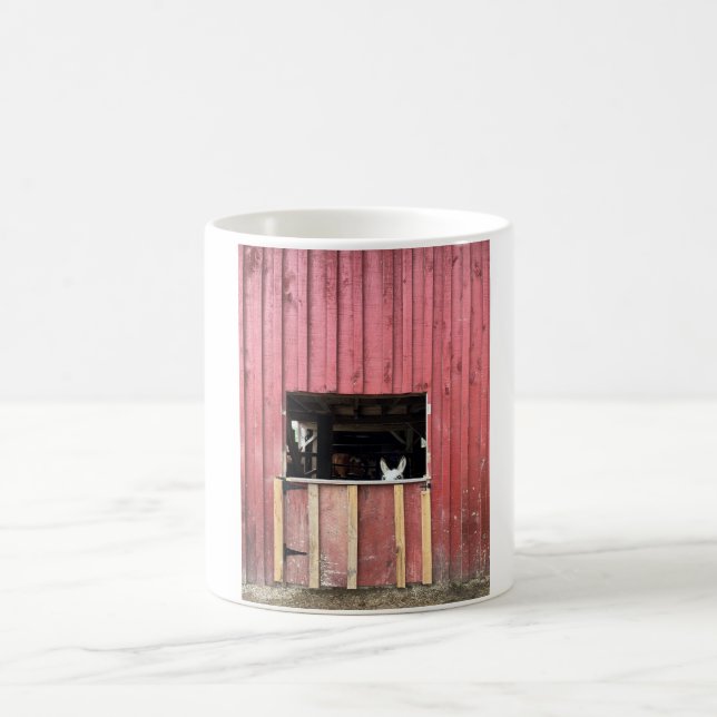 Café Caneca de burro (Centro)