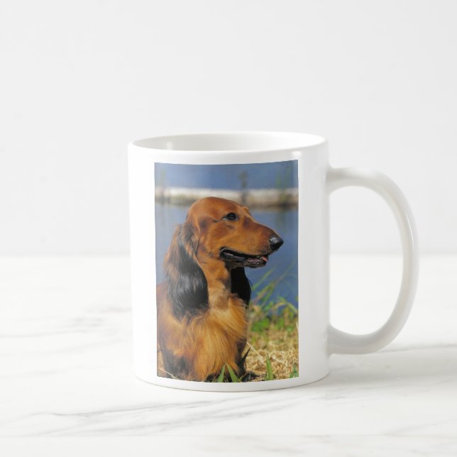 Café caneca de cabelos compridos vermelha do dachshund (Direita)
