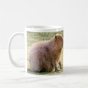 Café Caneca de Capybara