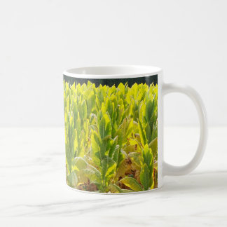 Café caneca de cigarro