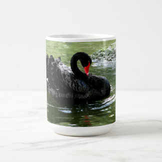 Café Caneca de cisne preta