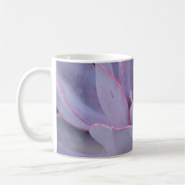 Café Caneca de Echeveria "Perle von Nurnberg"