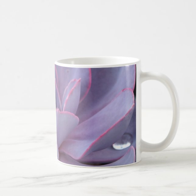 Café Caneca de Echeveria "Perle von Nurnberg" (Direita)