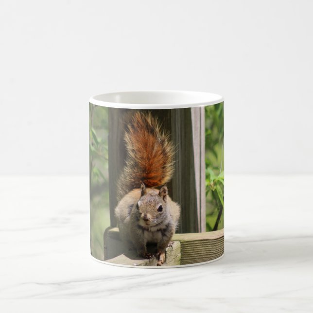 Café caneca de esquilo (Centro)