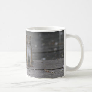 Café caneca de esquilo