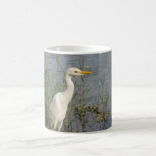 Café Caneca de Fotografia de Ave Garça-vaqueira - Branc