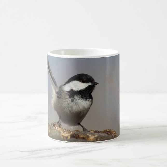 Café Caneca de frango (Centro)