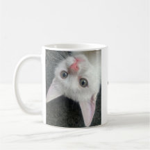 Caneca de Gatinho, Caneca Divertida