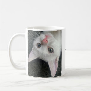 Café Caneca de Gatinho, Caneca Divertida