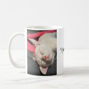 Café Caneca de Gatinhos, Caneca do Amor